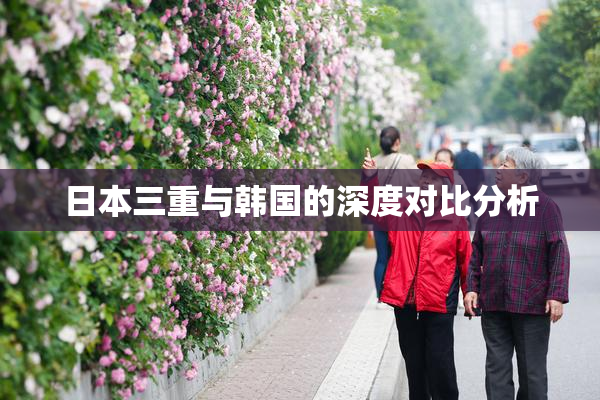 日本三重与韩国的深度对比分析
