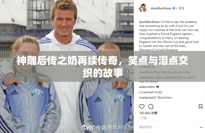 神雕后传之奶再续传奇，笑点与泪点交织的故事