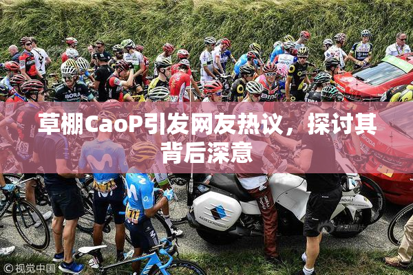 草棚CaoP引发网友热议，探讨其背后深意
