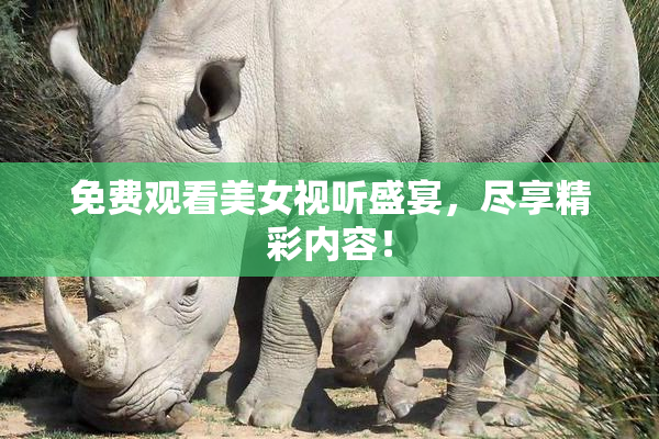 免费观看美女视听盛宴，尽享精彩内容！