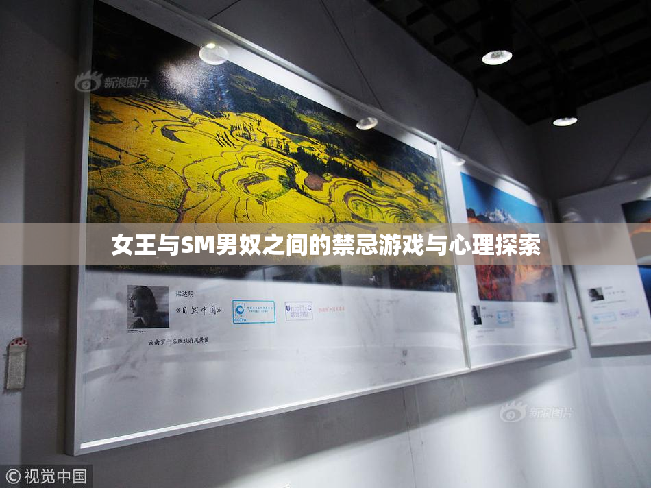 女王与SM男奴之间的禁忌游戏与心理探索