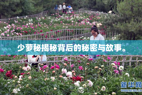 少萝秘揭秘背后的秘密与故事。