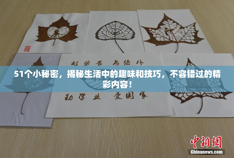 51个小秘密，揭秘生活中的趣味和技巧，不容错过的精彩内容！