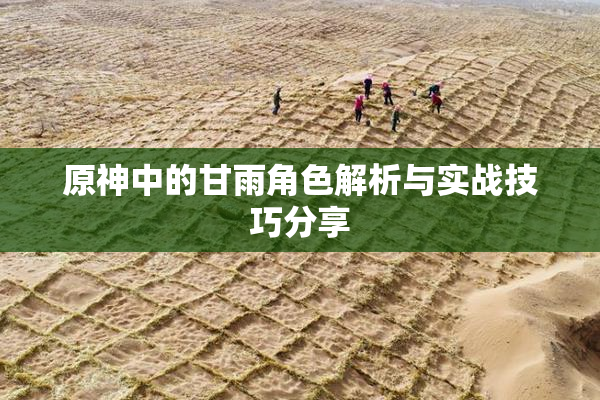 原神中的甘雨角色解析与实战技巧分享