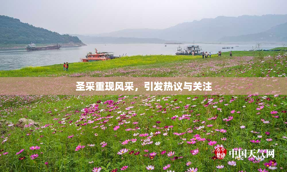 圣采重现风采，引发热议与关注