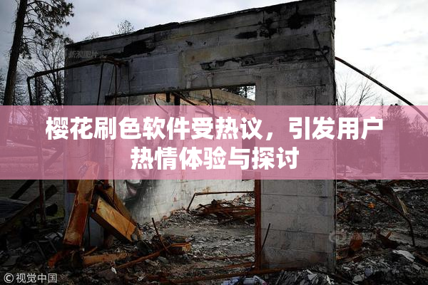 樱花刷色软件受热议，引发用户热情体验与探讨