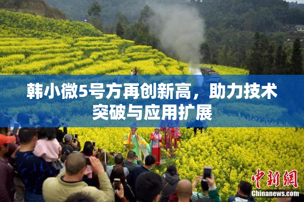 韩小微5号方再创新高，助力技术突破与应用扩展