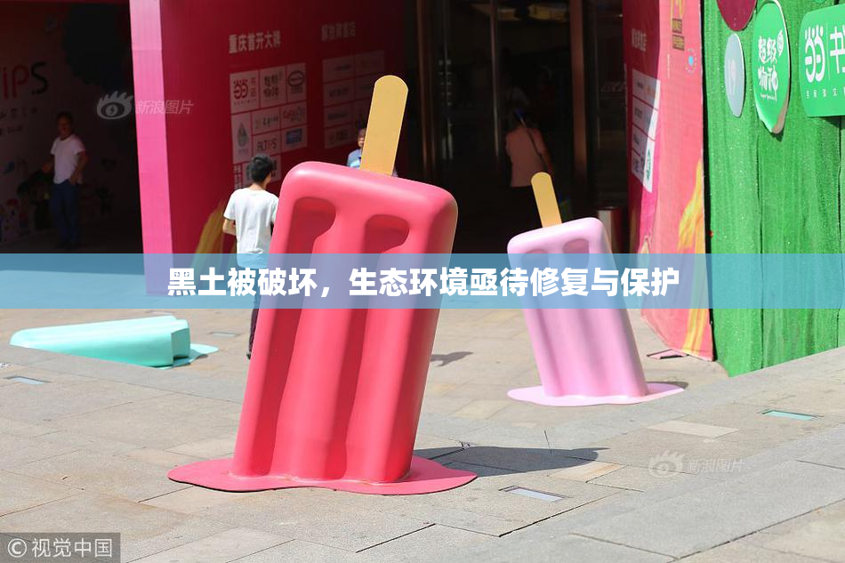黑土被破坏，生态环境亟待修复与保护