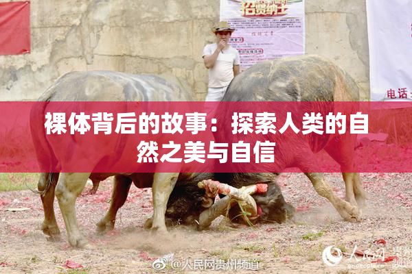 裸体背后的故事：探索人类的自然之美与自信