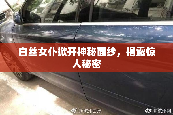 白丝女仆掀开神秘面纱，揭露惊人秘密