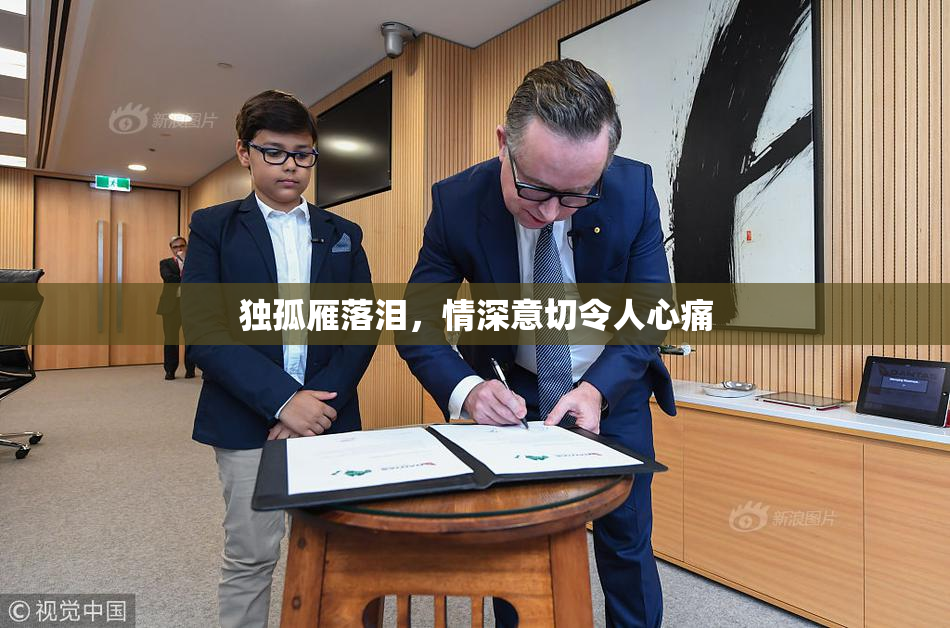 独孤雁落泪，情深意切令人心痛