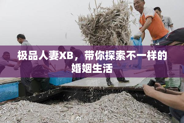 极品人妻XB，带你探索不一样的婚姻生活