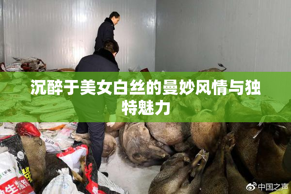 沉醉于美女白丝的曼妙风情与独特魅力