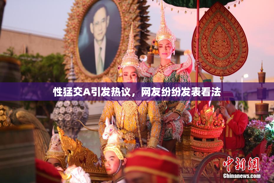 性猛交A引发热议，网友纷纷发表看法