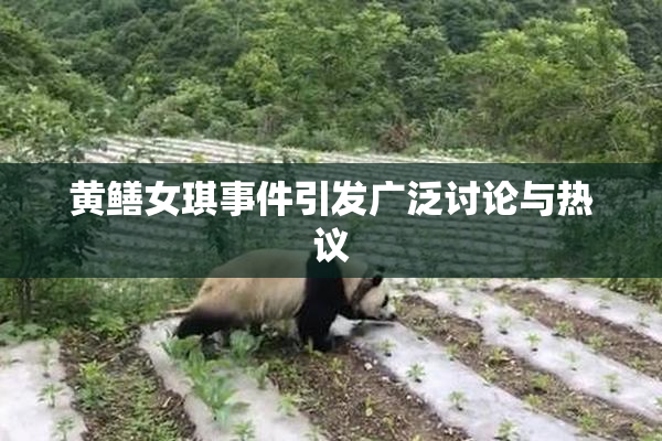 黄鳝女琪事件引发广泛讨论与热议