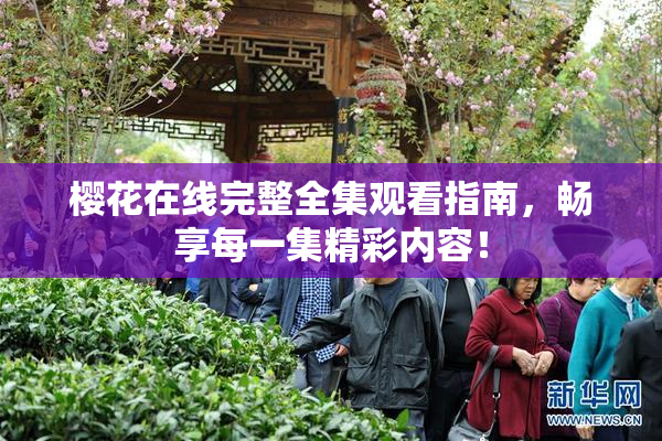 樱花在线完整全集观看指南，畅享每一集精彩内容！