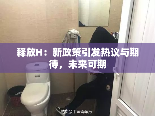 释放H：新政策引发热议与期待，未来可期