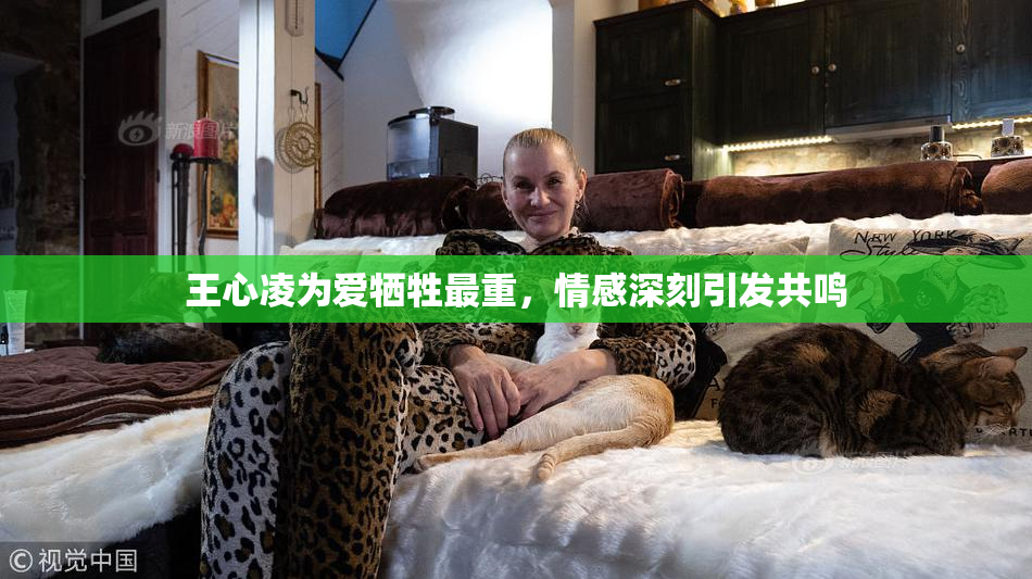王心凌为爱牺牲最重，情感深刻引发共鸣