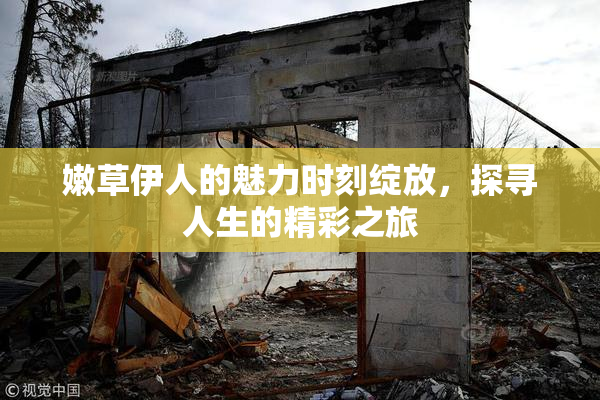 嫩草伊人的魅力时刻绽放，探寻人生的精彩之旅