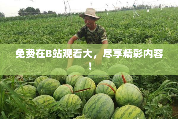 免费在B站观看大，尽享精彩内容！