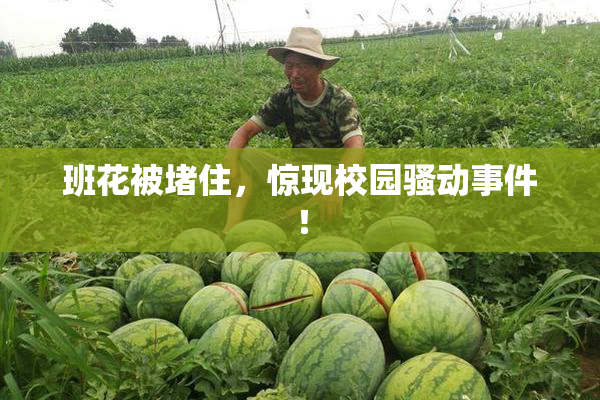 班花被堵住，惊现校园骚动事件！