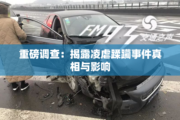 重磅调查：揭露凌虐蹂躏事件真相与影响