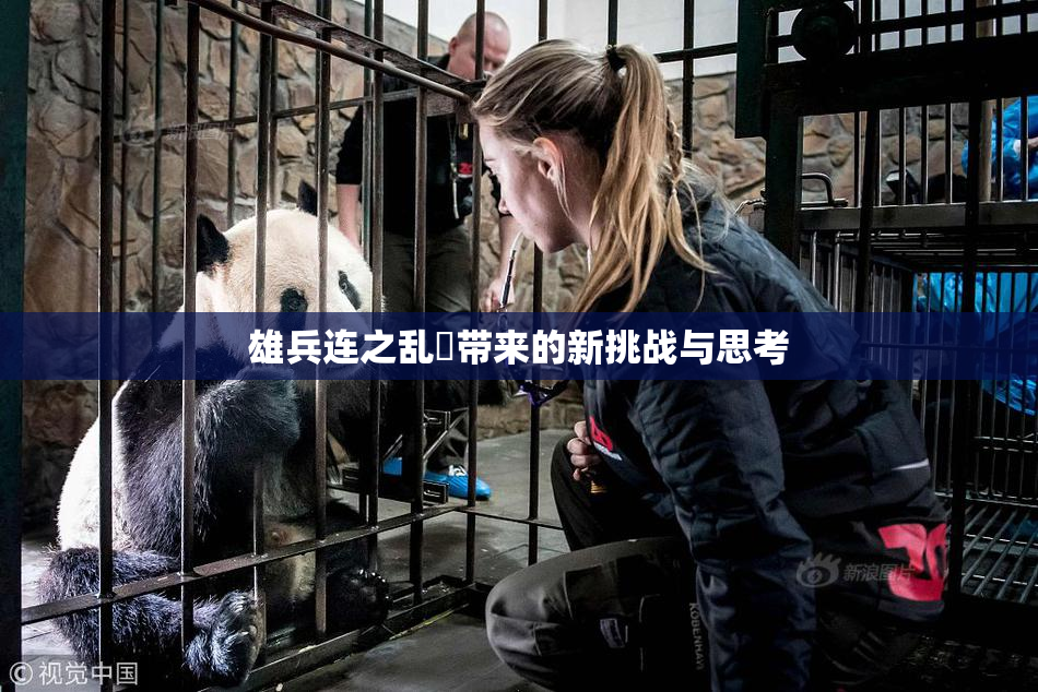 雄兵连之乱婬带来的新挑战与思考