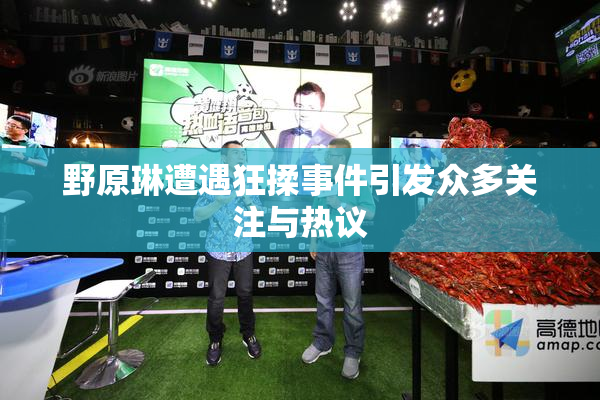野原琳遭遇狂揉事件引发众多关注与热议