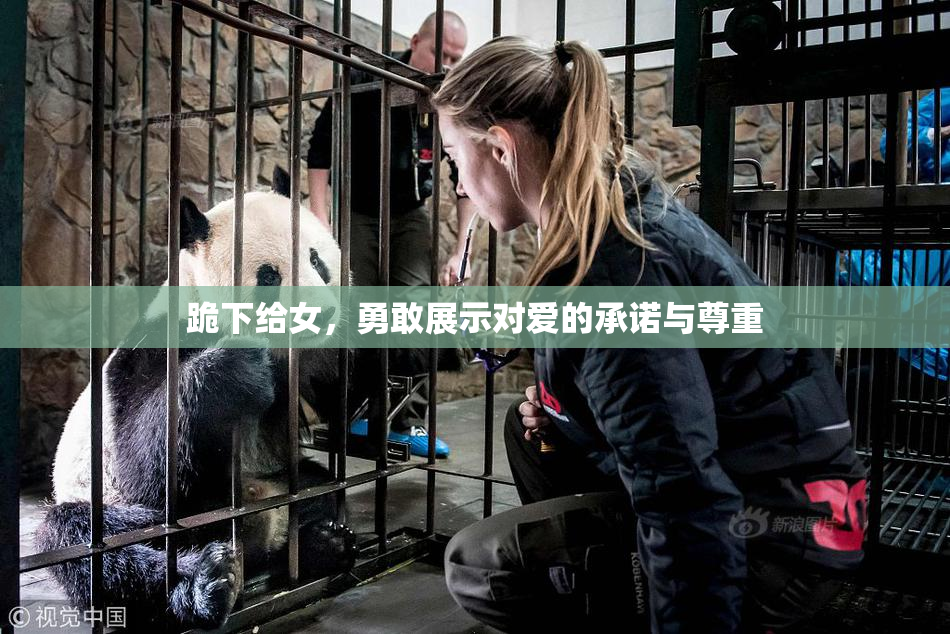 跪下给女，勇敢展示对爱的承诺与尊重