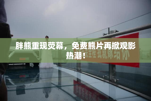 胖熊重现荧幕，免费熊片再掀观影热潮！