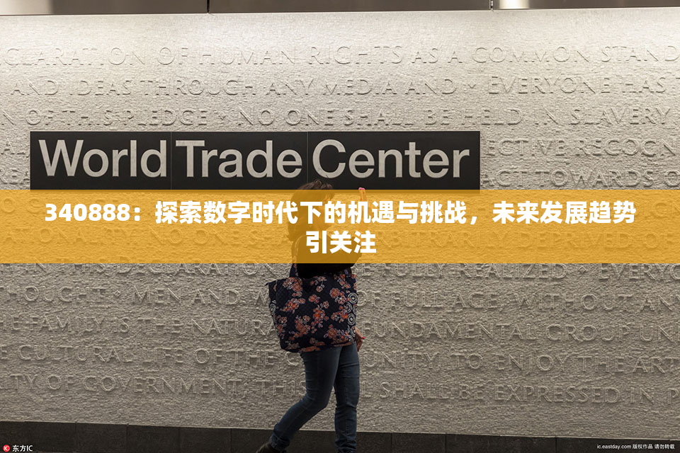 340888：探索数字时代下的机遇与挑战，未来发展趋势引关注