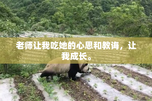 老师让我吃她的心思和教诲，让我成长。