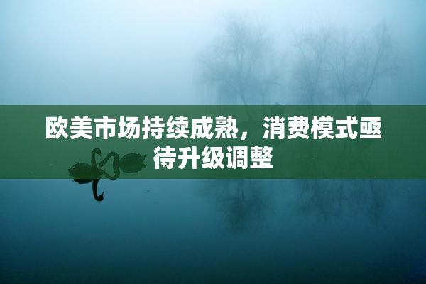 欧美市场持续成熟，消费模式亟待升级调整