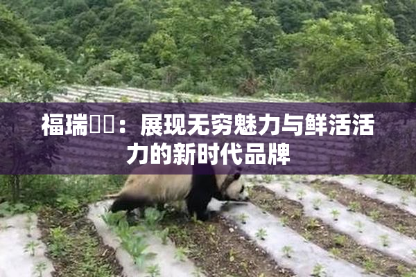 福瑞涊涊：展现无穷魅力与鲜活活力的新时代品牌