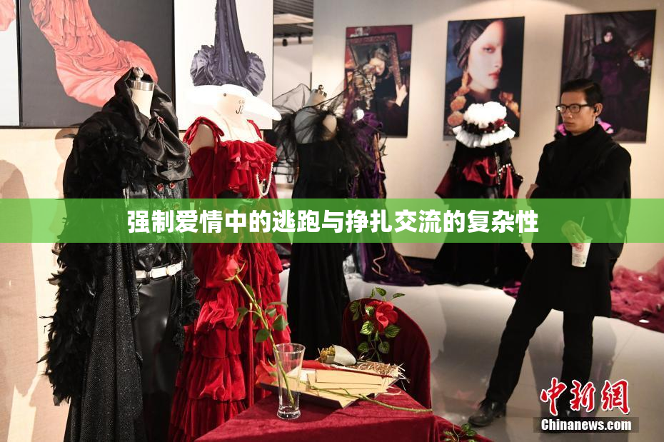 强制爱情中的逃跑与挣扎交流的复杂性