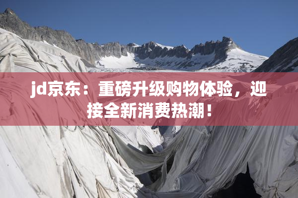 jd京东：重磅升级购物体验，迎接全新消费热潮！