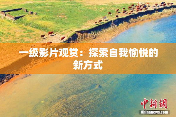 一级影片观赏：探索自我愉悦的新方式