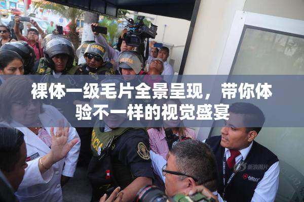 裸体一级毛片全景呈现，带你体验不一样的视觉盛宴