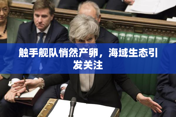 触手舰队悄然产卵，海域生态引发关注