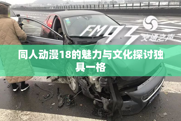 同人动漫18的魅力与文化探讨独具一格