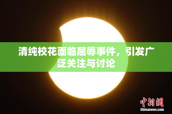 清纯校花面临屈辱事件，引发广泛关注与讨论