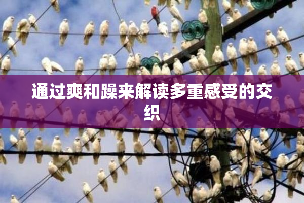 通过爽和躁来解读多重感受的交织