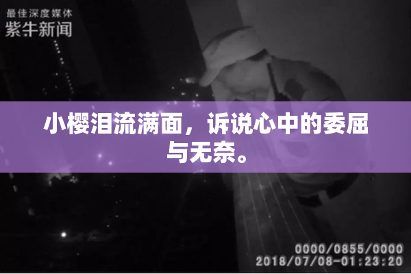 小樱泪流满面，诉说心中的委屈与无奈。