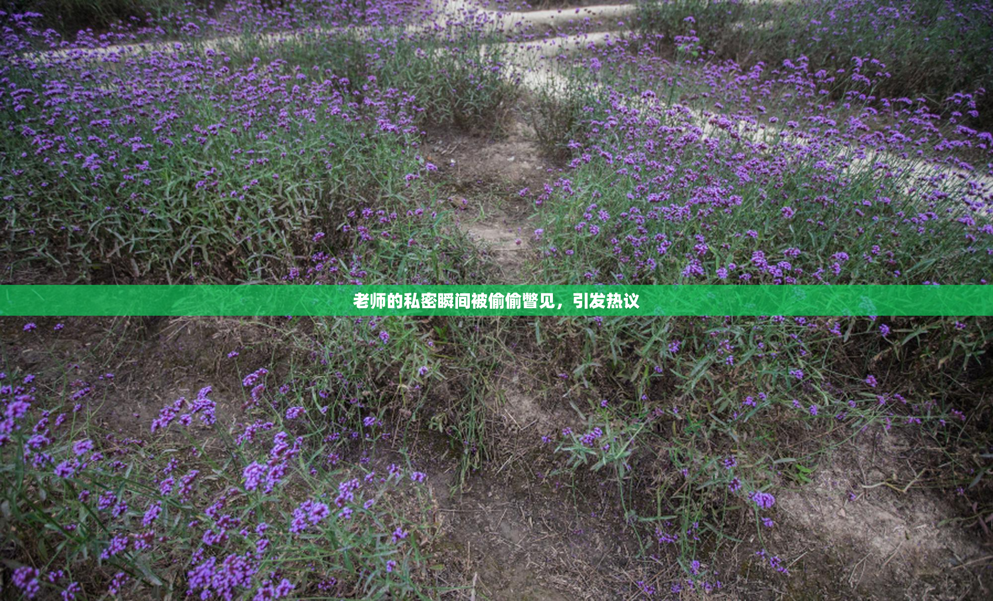 老师的私密瞬间被偷偷瞥见，引发热议