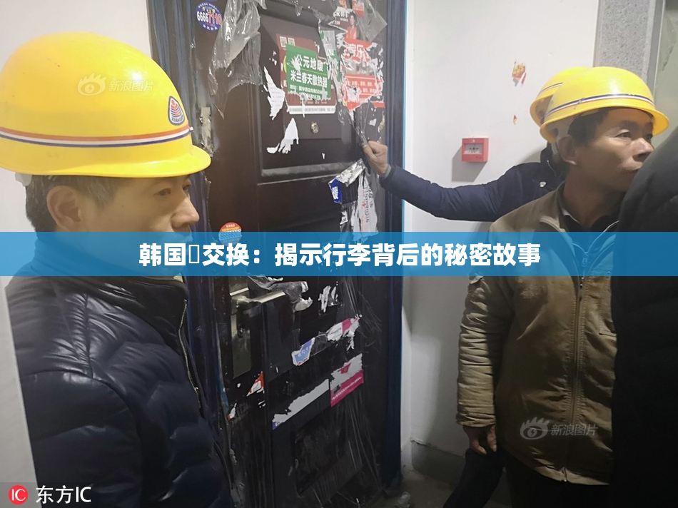 韩国巜交换：揭示行李背后的秘密故事