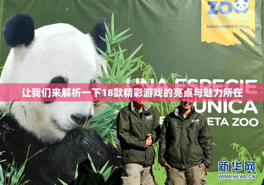 让我们来解析一下18款精彩游戏的亮点与魅力所在