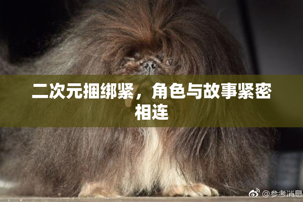 二次元捆绑紧，角色与故事紧密相连