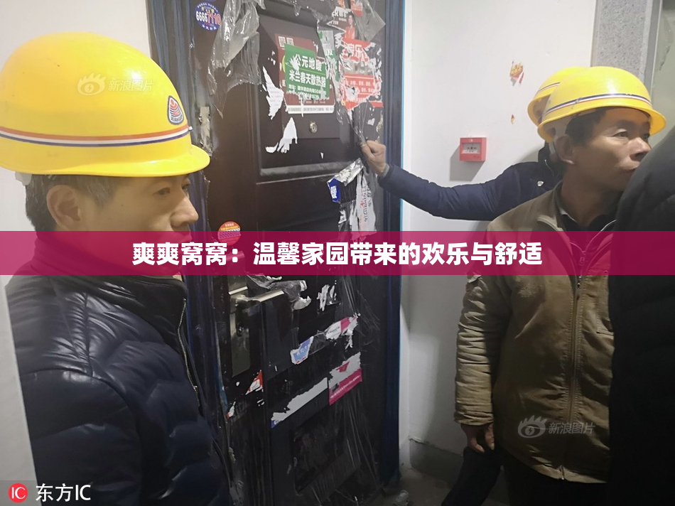爽爽窝窝：温馨家园带来的欢乐与舒适