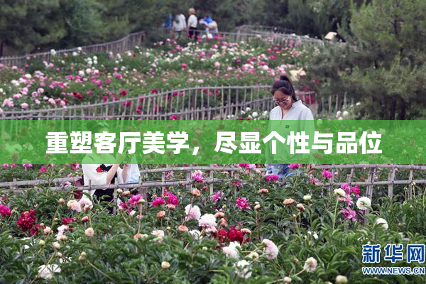 重塑客厅美学，尽显个性与品位