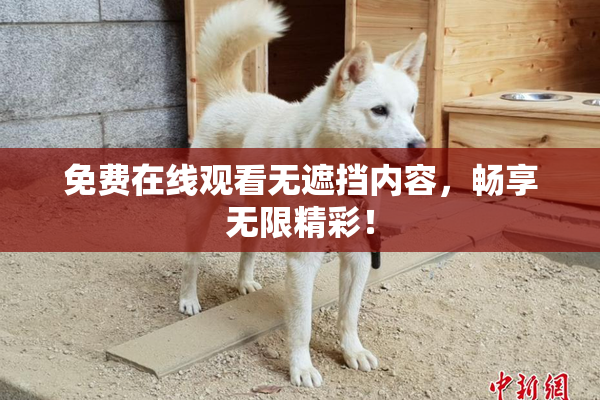 免费在线观看无遮挡内容，畅享无限精彩！